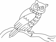 Coloriages animaux volants - Coloriages - 10doigts.fr